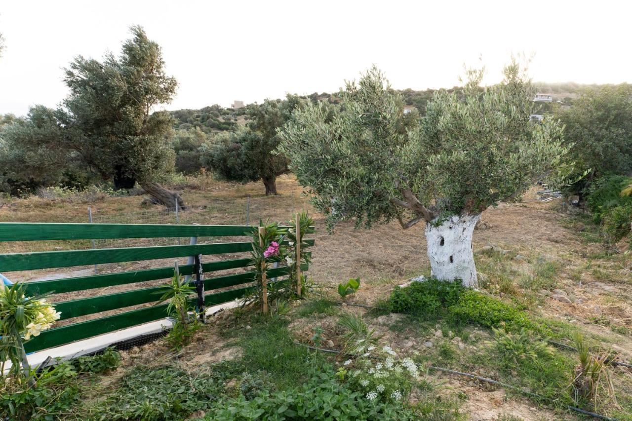 Galini House Villa Triopetra Exterior photo